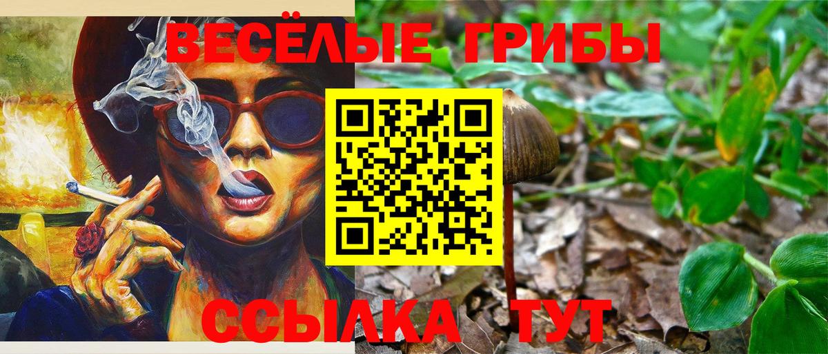 Нерюнгри  Псилоцибиновые грибы Psilocybe  Вход с VPN 